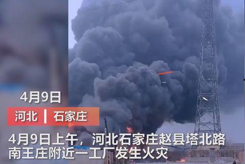 石家庄爆料事件视频播放,视频揭露惊人真相 第2张 石家庄爆料事件视频播放,视频揭露惊人真相 第2张